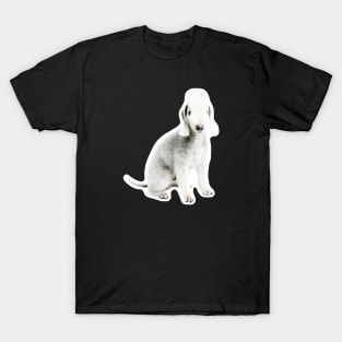 Bedlington Terrier T-Shirt